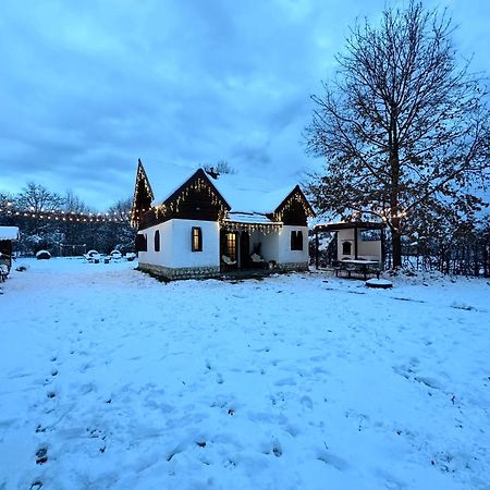아브리그 Cuib Din Fagaras 빌라 외부 사진
