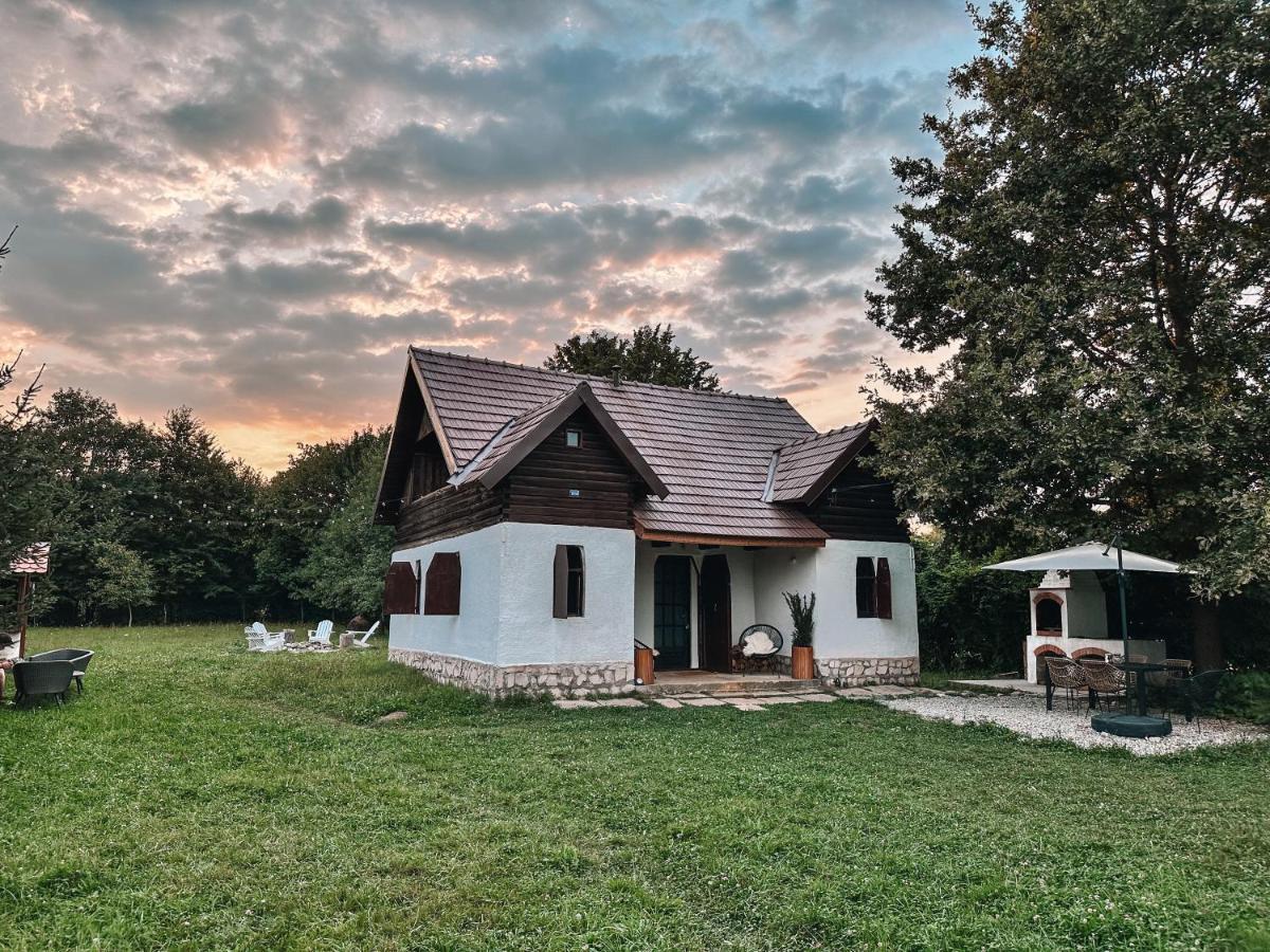 아브리그 Cuib Din Fagaras 빌라 외부 사진