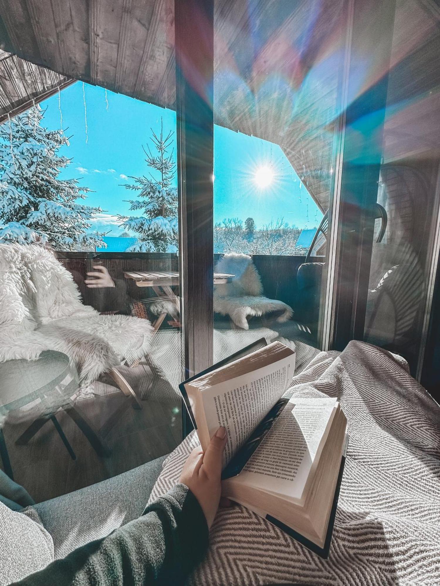아브리그 Cuib Din Fagaras 빌라 외부 사진